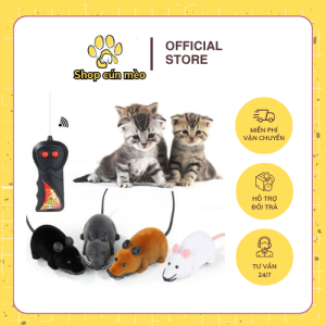 chuột điều khiển từ xa