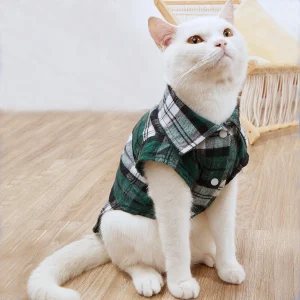 may áo cho mèo bằng tất: áo có cổ xanh lá