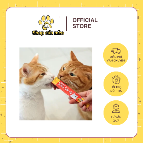 Súp thưởng cho mèo có tốt không